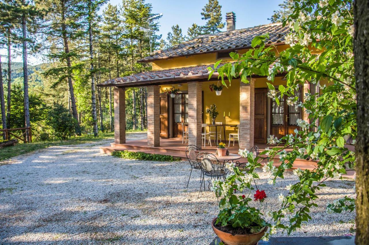 Il Ginepro Villa Cortona Exterior foto