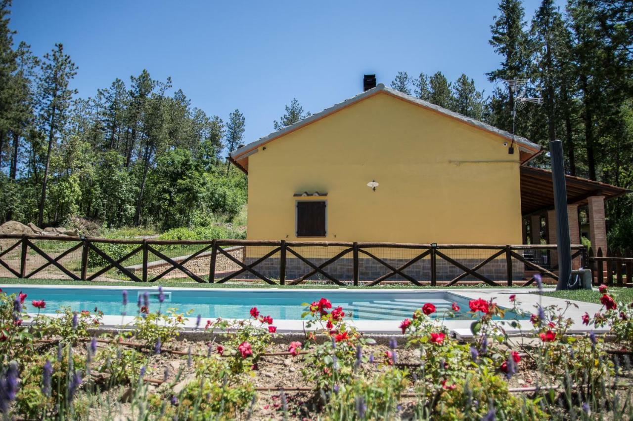 Il Ginepro Villa Cortona Exterior foto